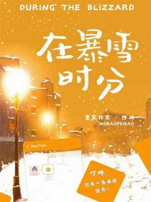 墨宝非宝,在暴雪时分